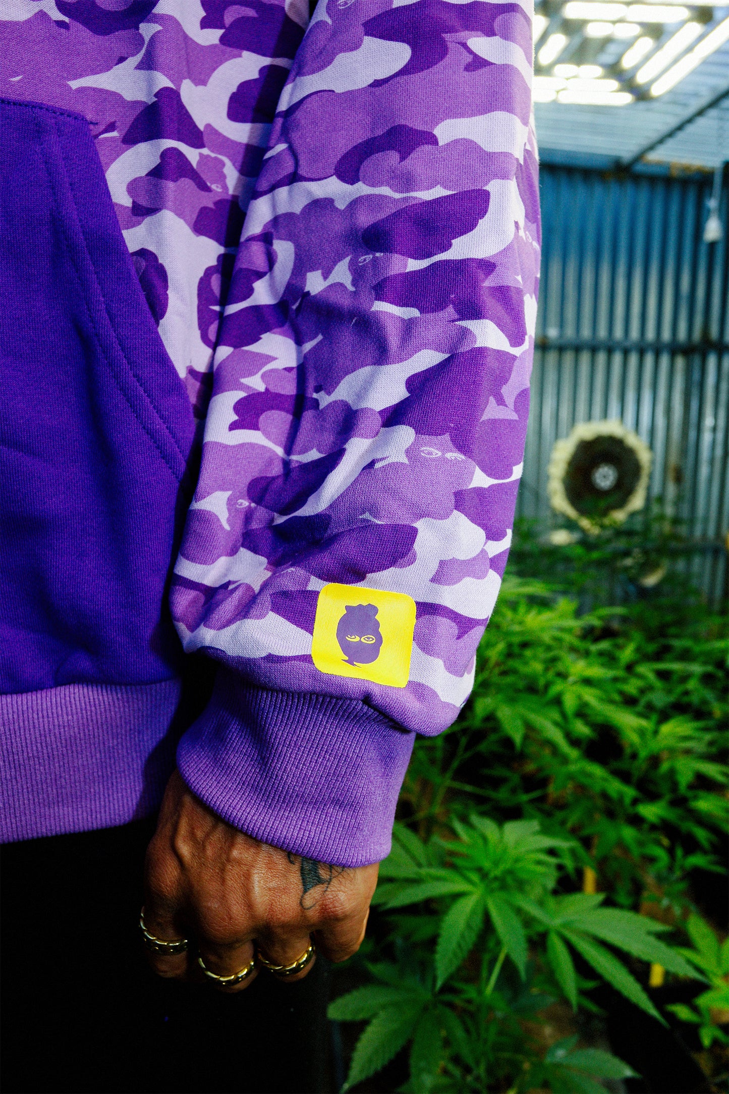 KV - GDW HOODIE (purple camo)